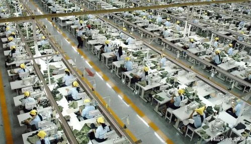 越南“世界工廠”夢碎？4萬工廠倒閉，痛失253億美元訂單的背后真相